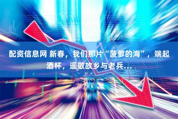 配资信息网 新春，我们那片“菠萝的海”，端起酒杯，遥敬故乡与老兵…