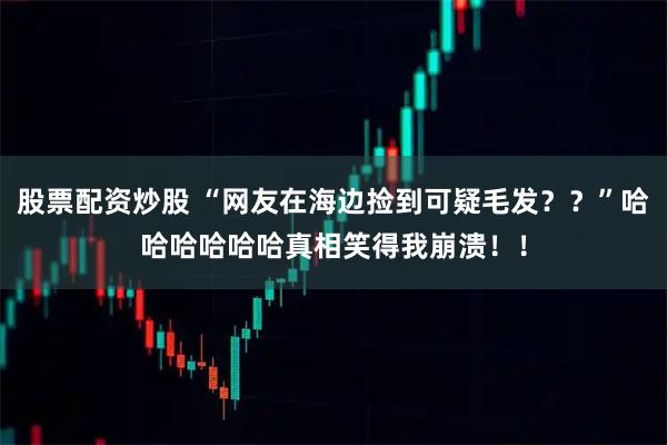 股票配资炒股 “网友在海边捡到可疑毛发？？”哈哈哈哈哈哈真相笑得我崩溃！！