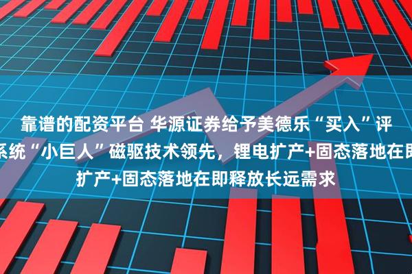 靠谱的配资平台 华源证券给予美德乐“买入”评级：智能输送系统“小巨人”磁驱技术领先，锂电扩产+固态落地在即释放长远需求