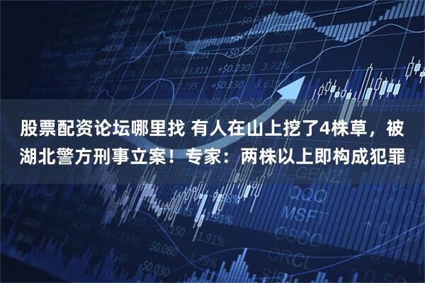 股票配资论坛哪里找 有人在山上挖了4株草，被湖北警方刑事立案！专家：两株以上即构成犯罪